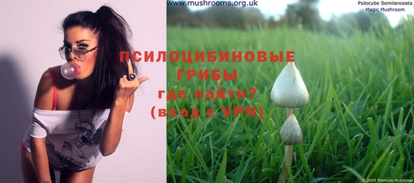 твердый Протвино