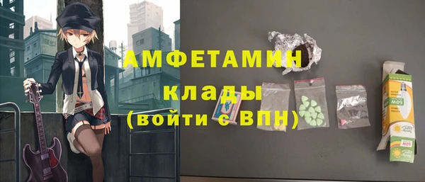 твердый Протвино