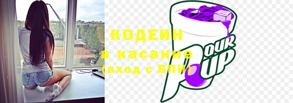 твердый Протвино
