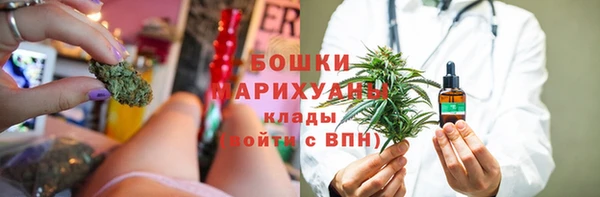 твердый Протвино