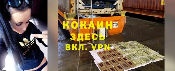 твердый Протвино