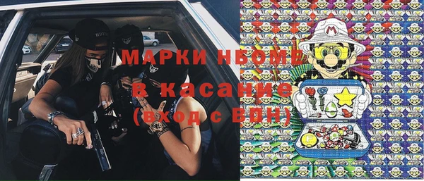 твердый Протвино